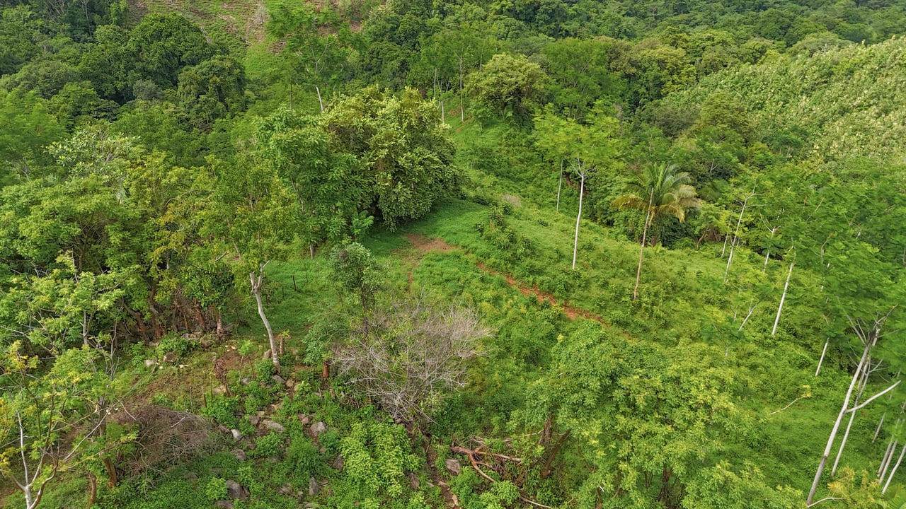 177 acre Ocean view property with multiple plantels, unspoiled mountain, jungle, river and waterfall areas