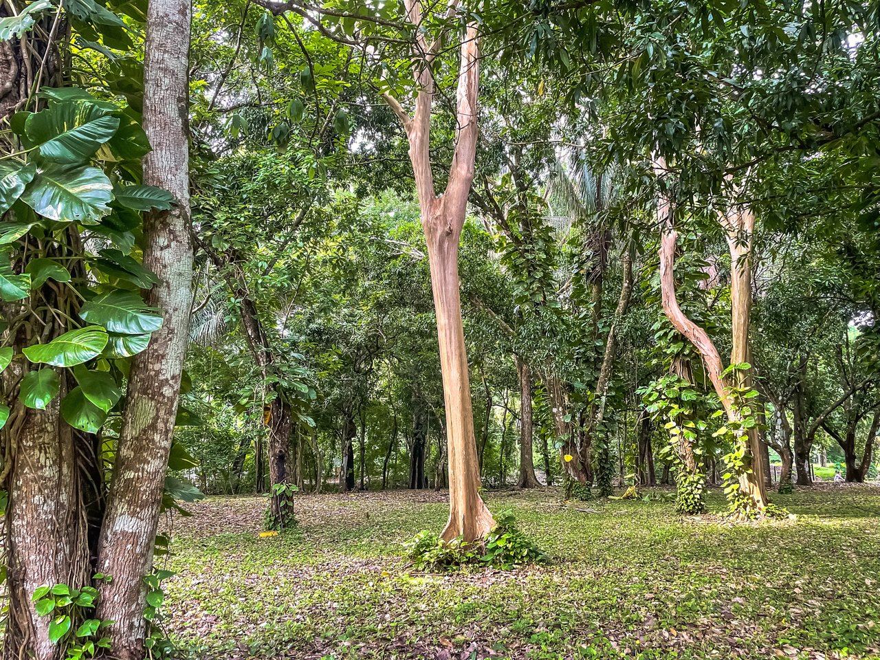 Prime Beachfront Development Land, Santa Teresa, Puntarenas