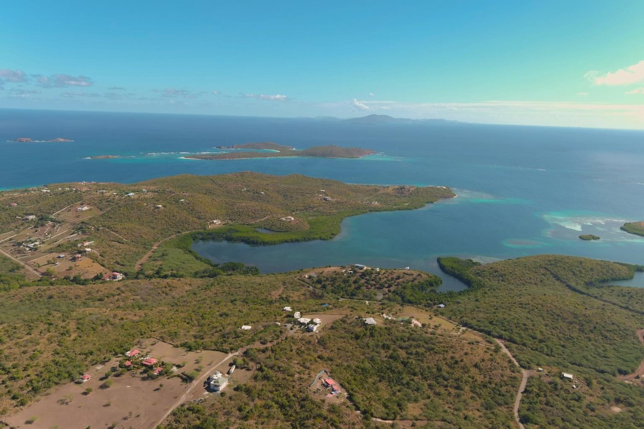 SOLD!!!!!!CULEBRA BETTER THAN EVER, #00