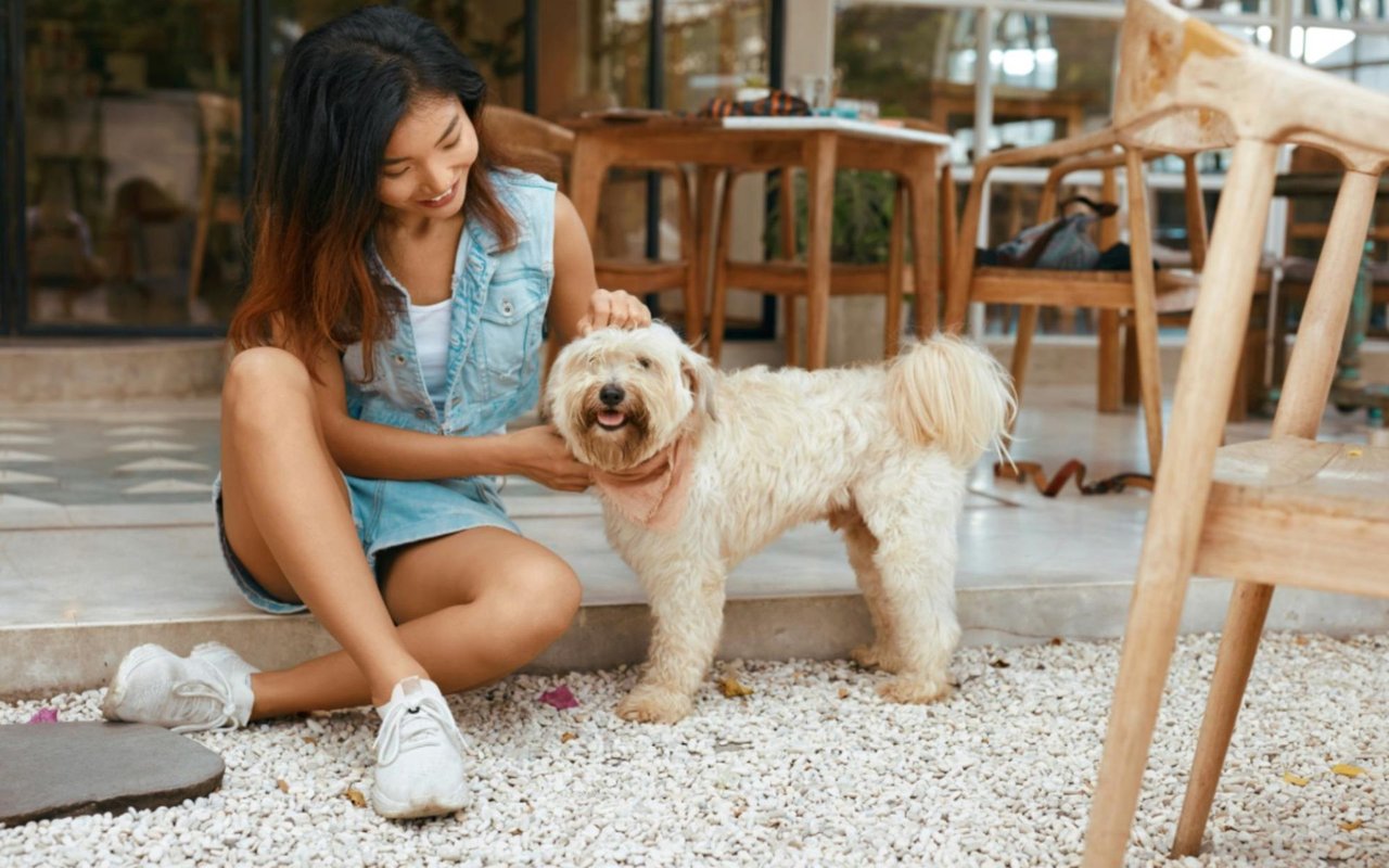 Pet-Friendly Restaurants in Ventura, CA