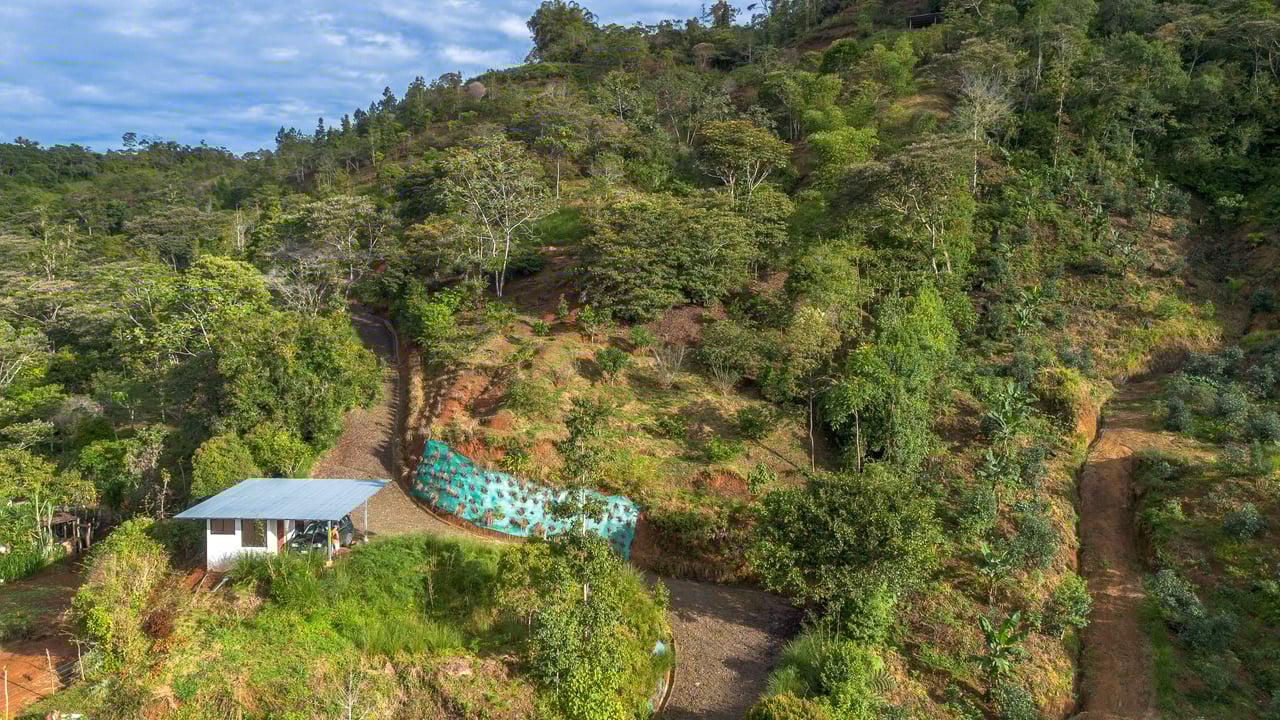 10.21 Acres with Views & Plantels – Pérez Zeledón