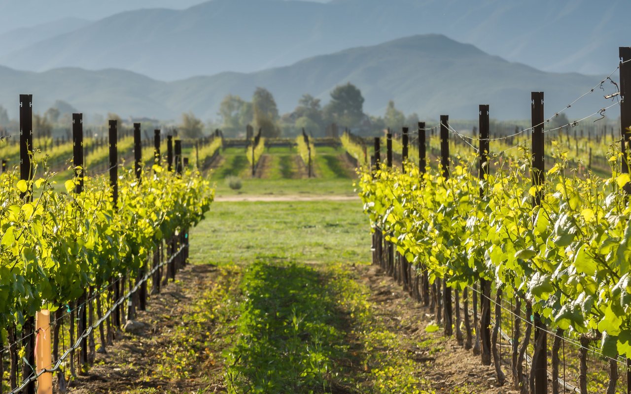 Temecula Valley
