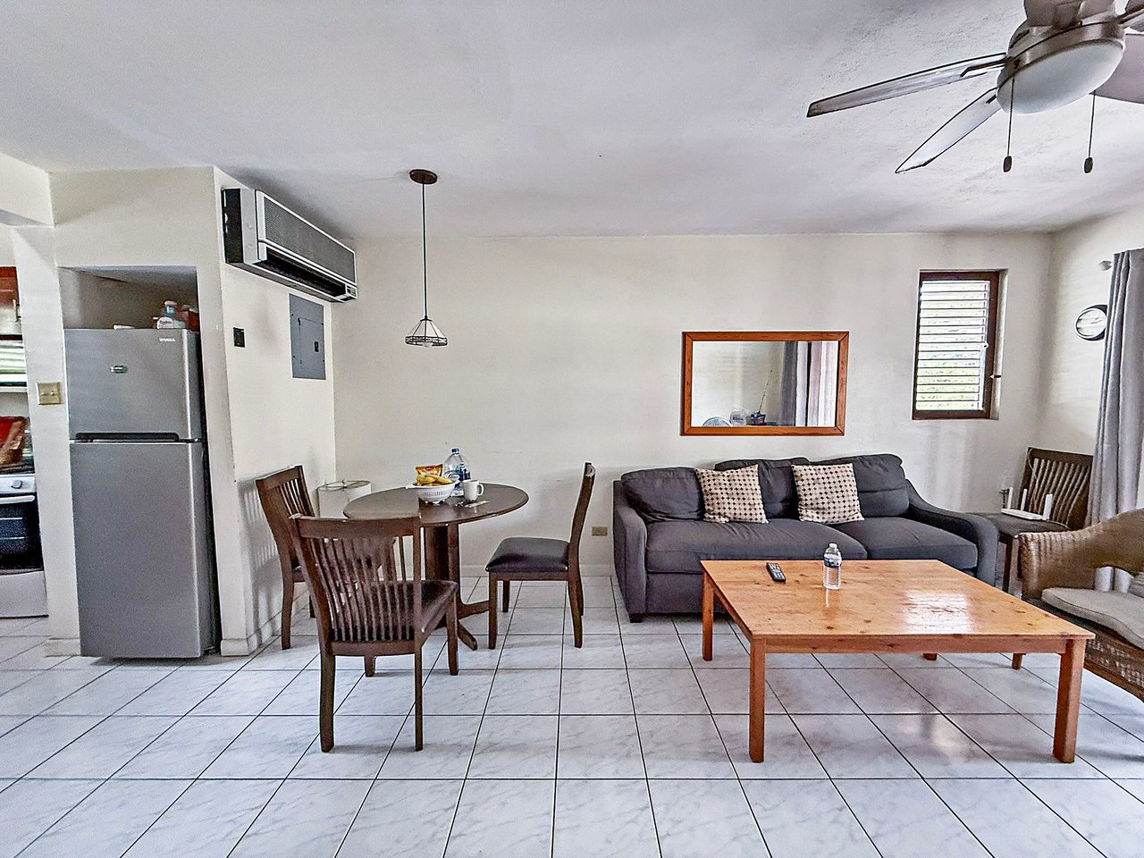 1058 Road Town 1 Bedroom Apartment