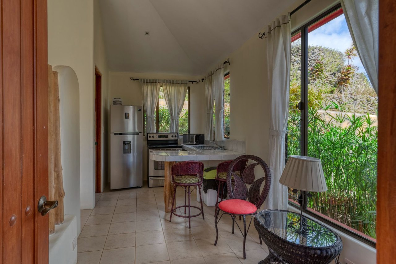 Grand Mountain View Estate, Perez Zeledon, San Jose