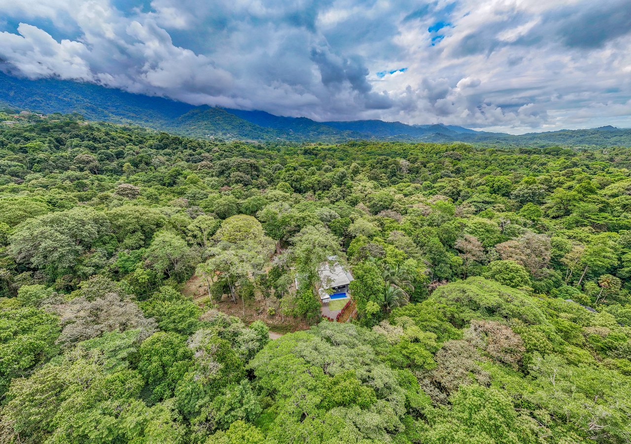 Modern 3-Bed Jungle Home with River and Pool in Cinco Ventanas Ojochal