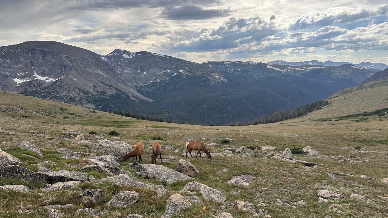 Where the Road Meets the Sky: Driving Trail Ridge Road