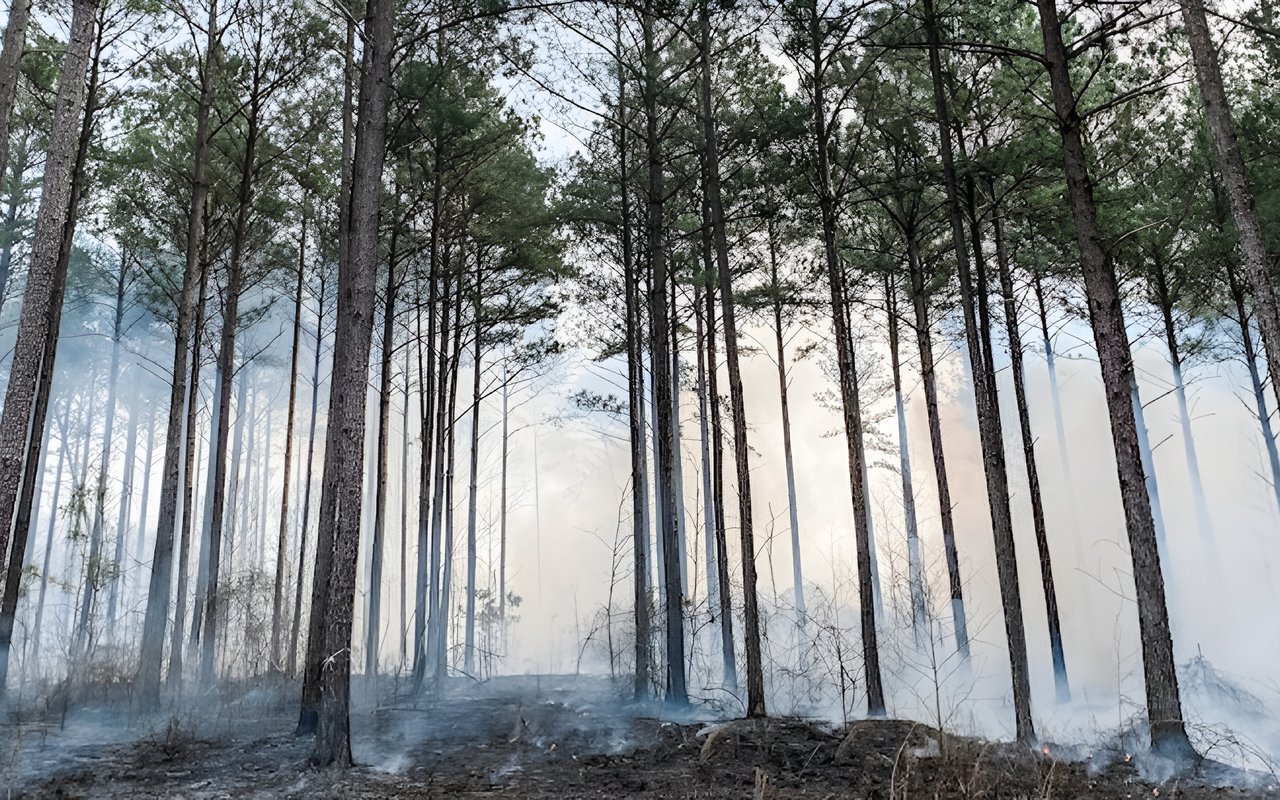 Buying & Selling Recreation or Investment Property – Advice from Three Sixty’s Land Expert, Gehrig Hall