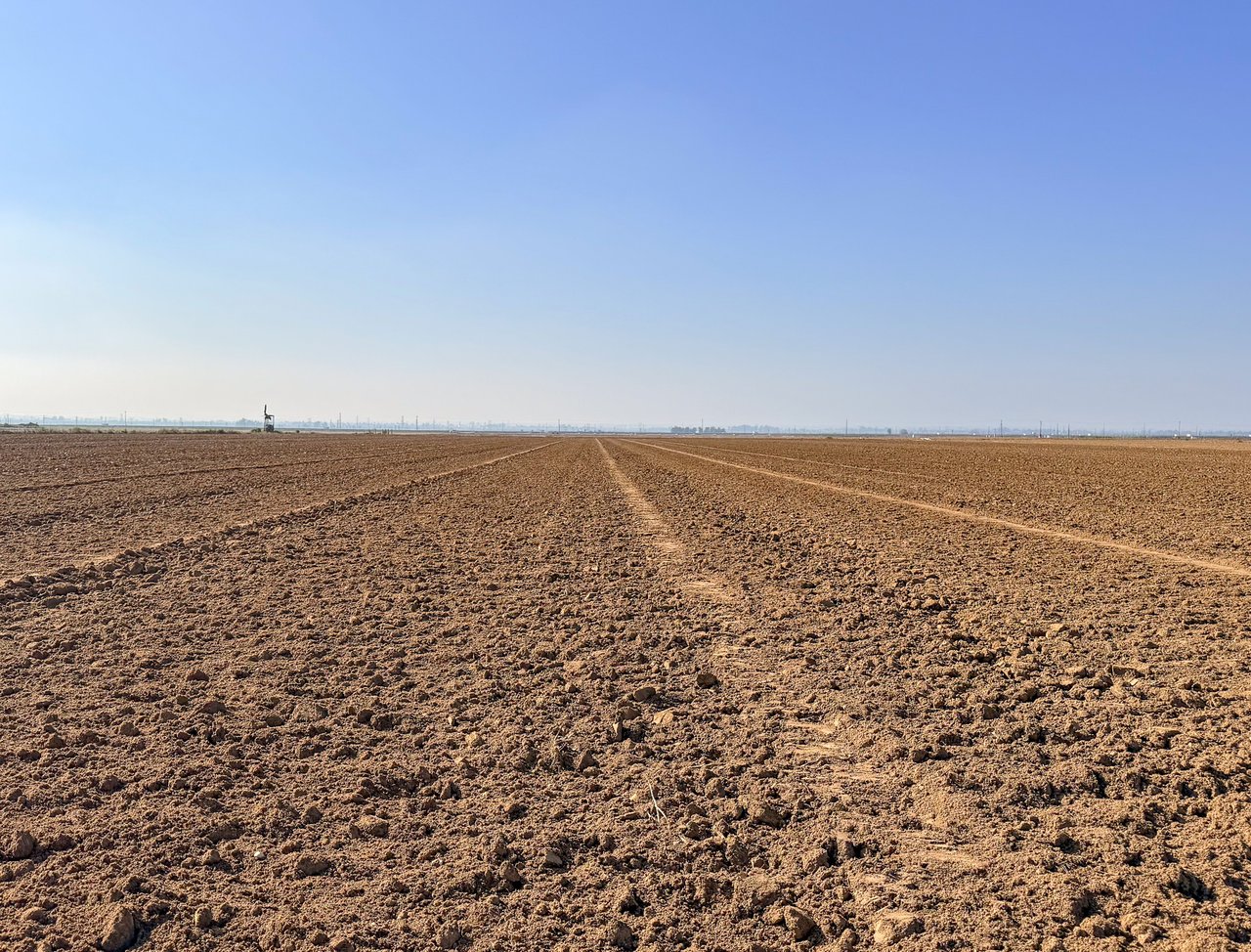 158.61 +/- Acres of Open Farmland in Arvin-Edison Water Storage District