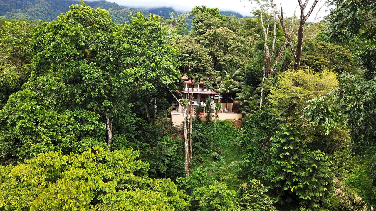 FIRE SALE! Jungle, Rivers, a Waterfall and Panoramic Ocean View