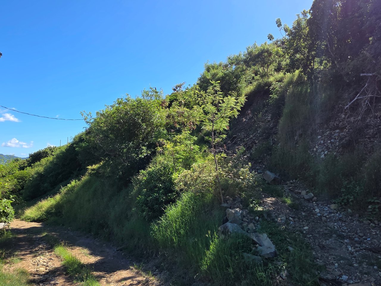 1102 2 Half-Acre Lots in Jost Van Dyke