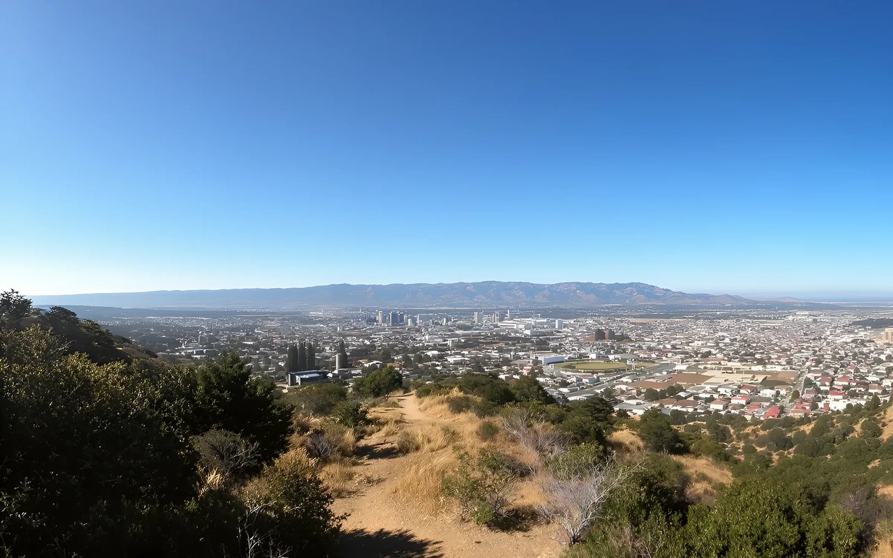 Aptos