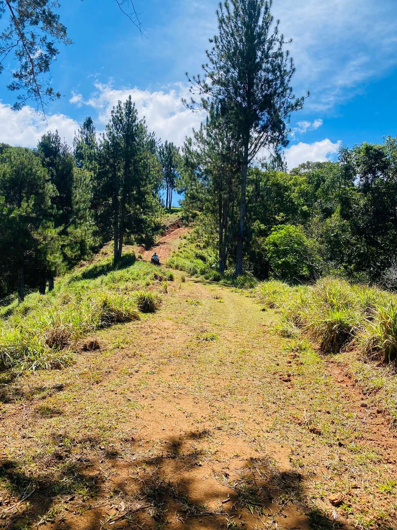 54 Acre Ranch in San Vito, Coto Brus