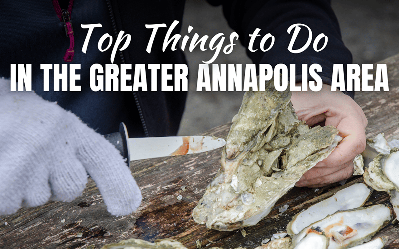 Discover the Charm: Top Things to Do in the Greater Annapolis Area This March
