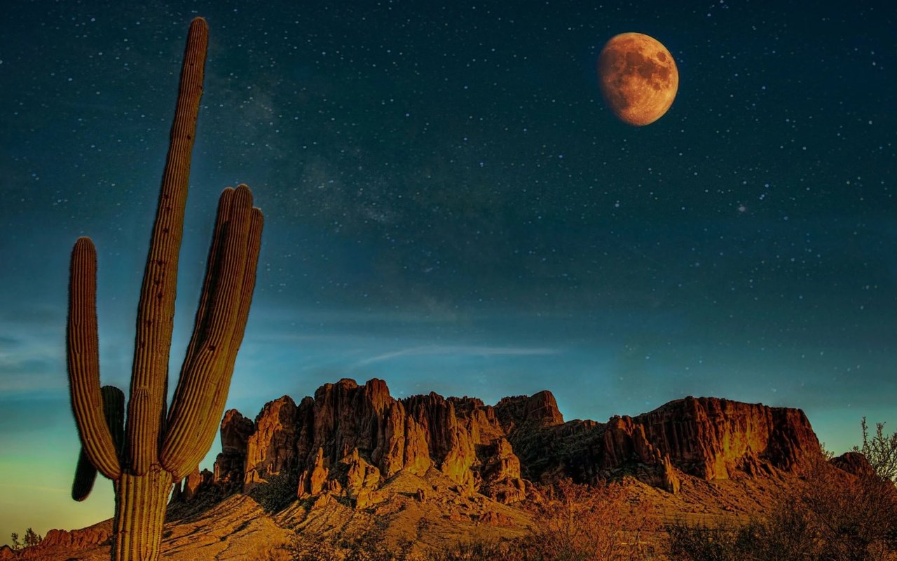 Celebrate the Holiday Season in the High Desert