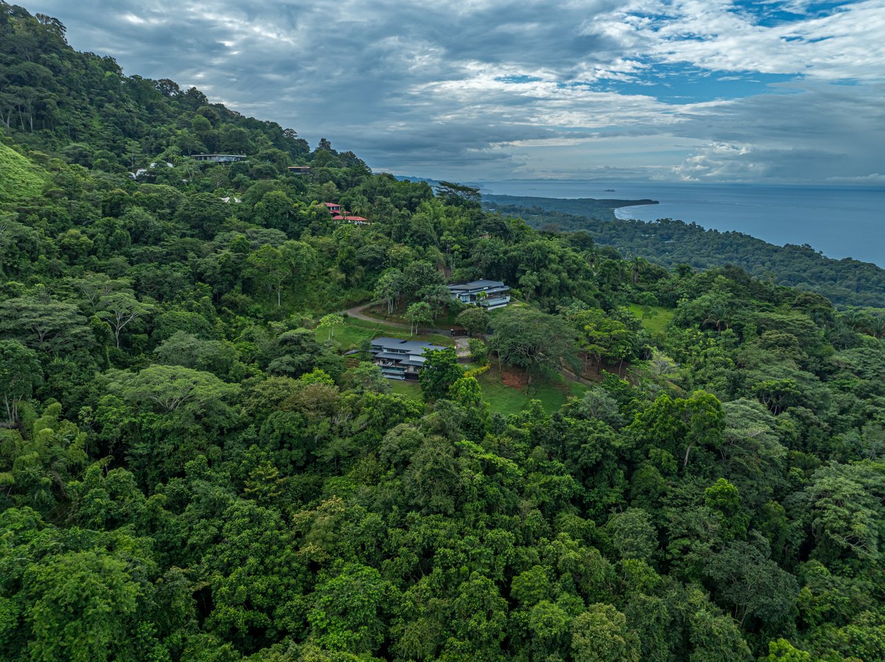 Modern Tropical Home at Las Colinas #23