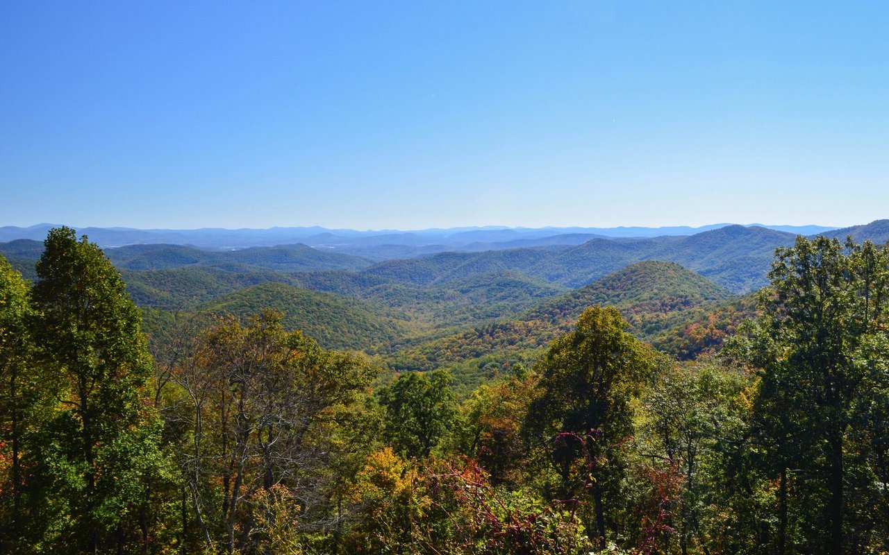 Newington Forest
