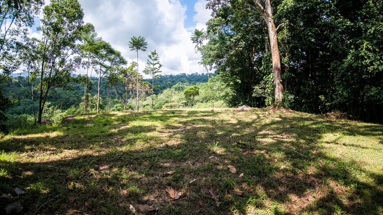 Tropical Sanctuary Above Uvita: 5-Acre Jungle Estate with incredible Mountain Views