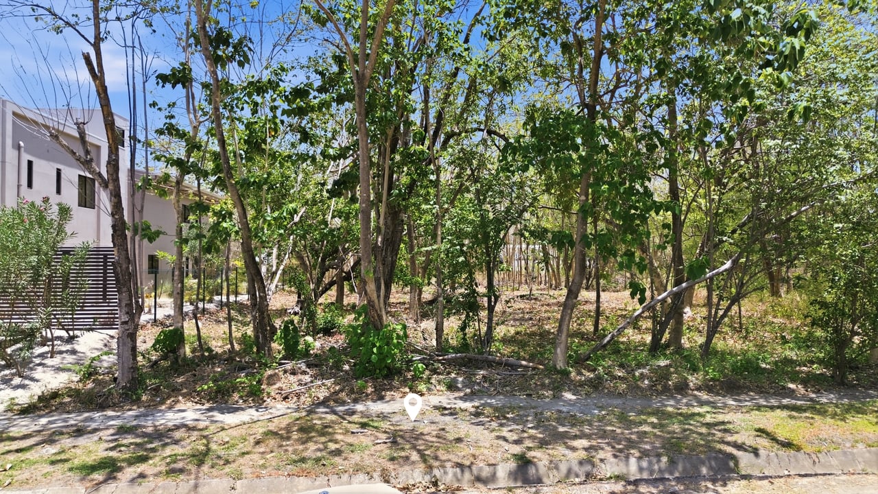 FLAMINGO BEACH LOT FOR SALE 