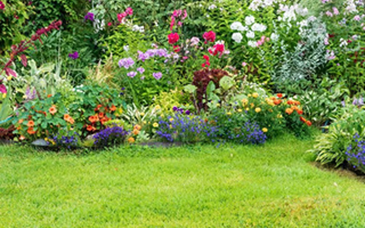 Get Your Yard Ready For Summer