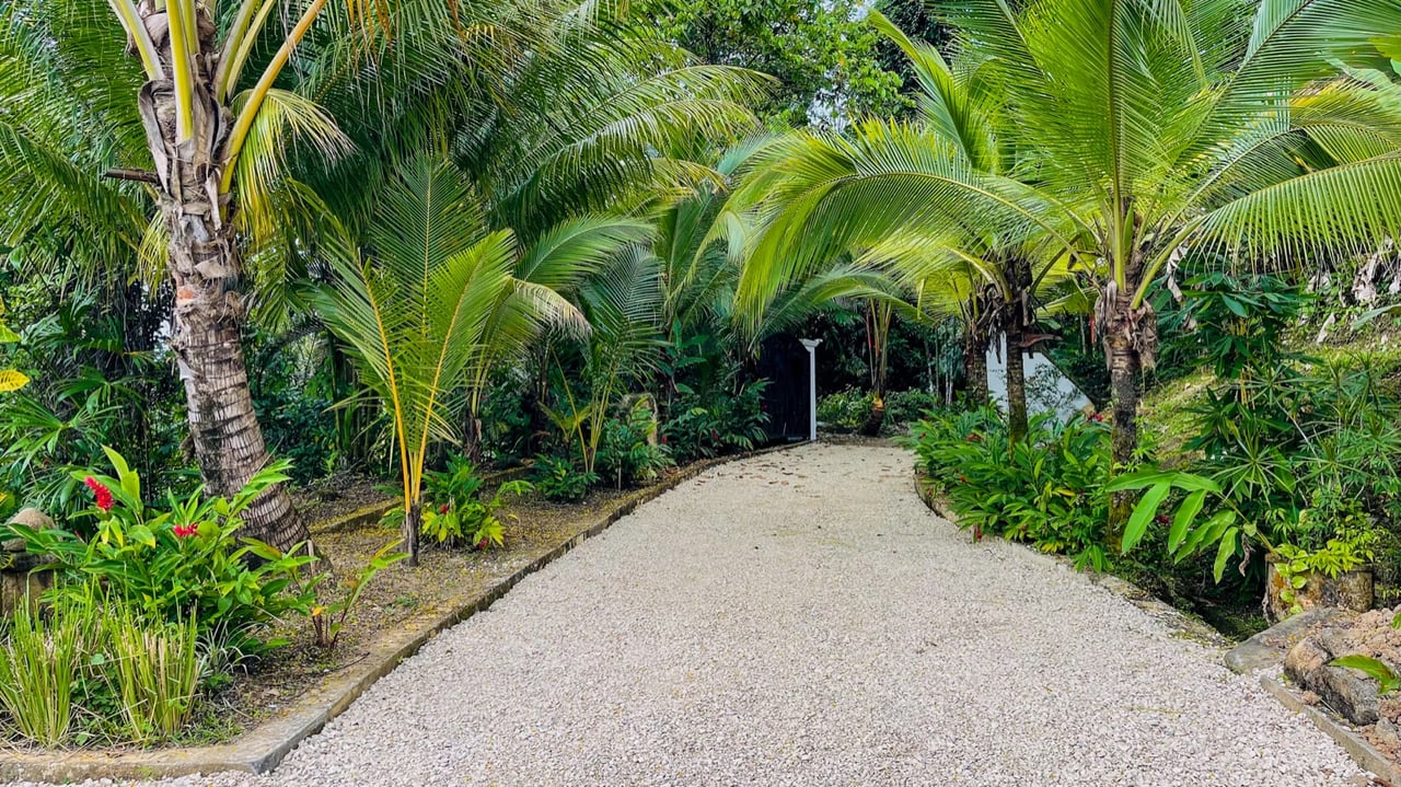 Dream House for Sale in Uvita with Breathtaking Whale's Tail Views
