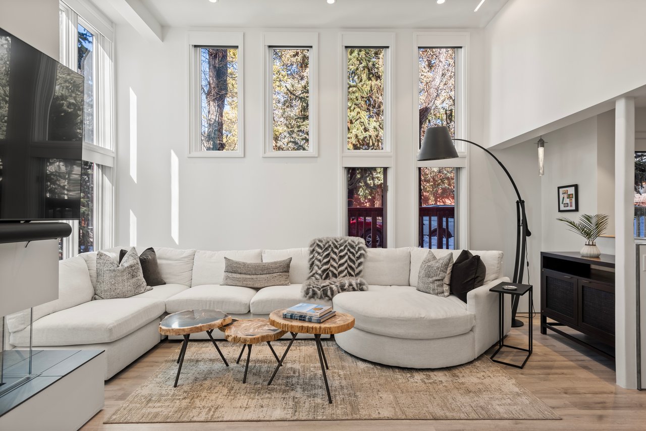 Newly Remodeled Core Condo with Aspen Mountain Views