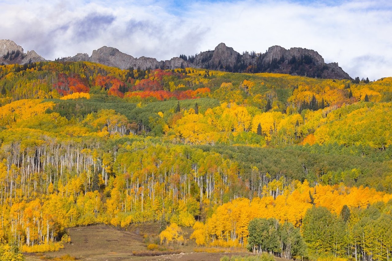 Kebler Pass in the Fall: Colorado’s Golden Wonderland