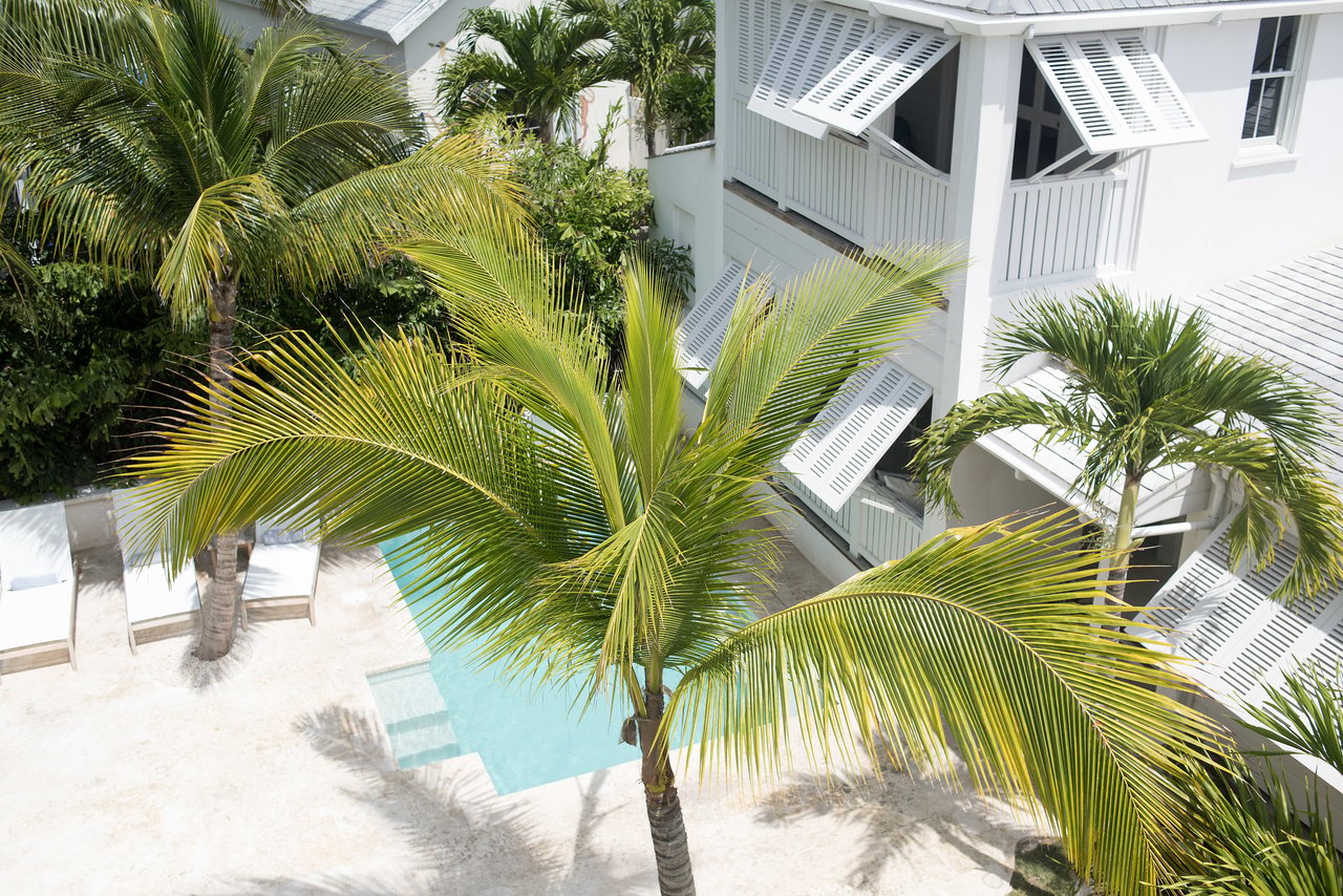 Conch Shell House