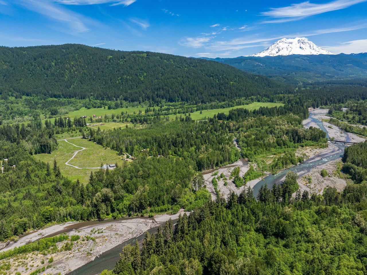 Mt. Rainier Paradise