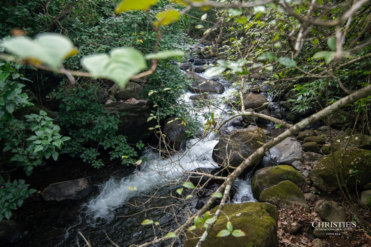 Origins Mineral: A Rare Landholding in Guanacaste’s Volcanic Highlands