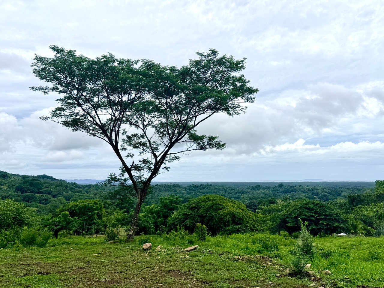 Ocean View Sanctuary in San Buenas – 4.94 Acres of Pastures & Easy Accessaccess