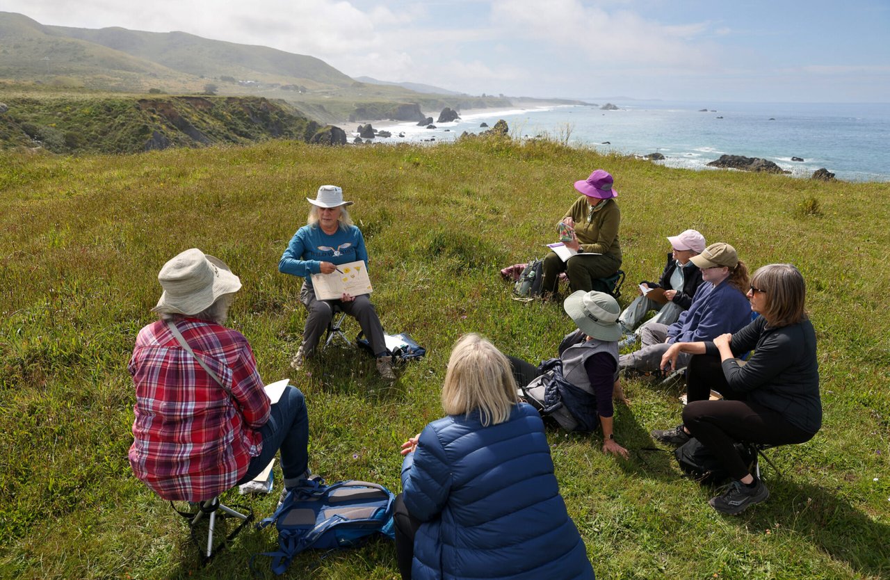 7 Nature Journaling Tips From Sonoma County Naturalist Sarah Reid