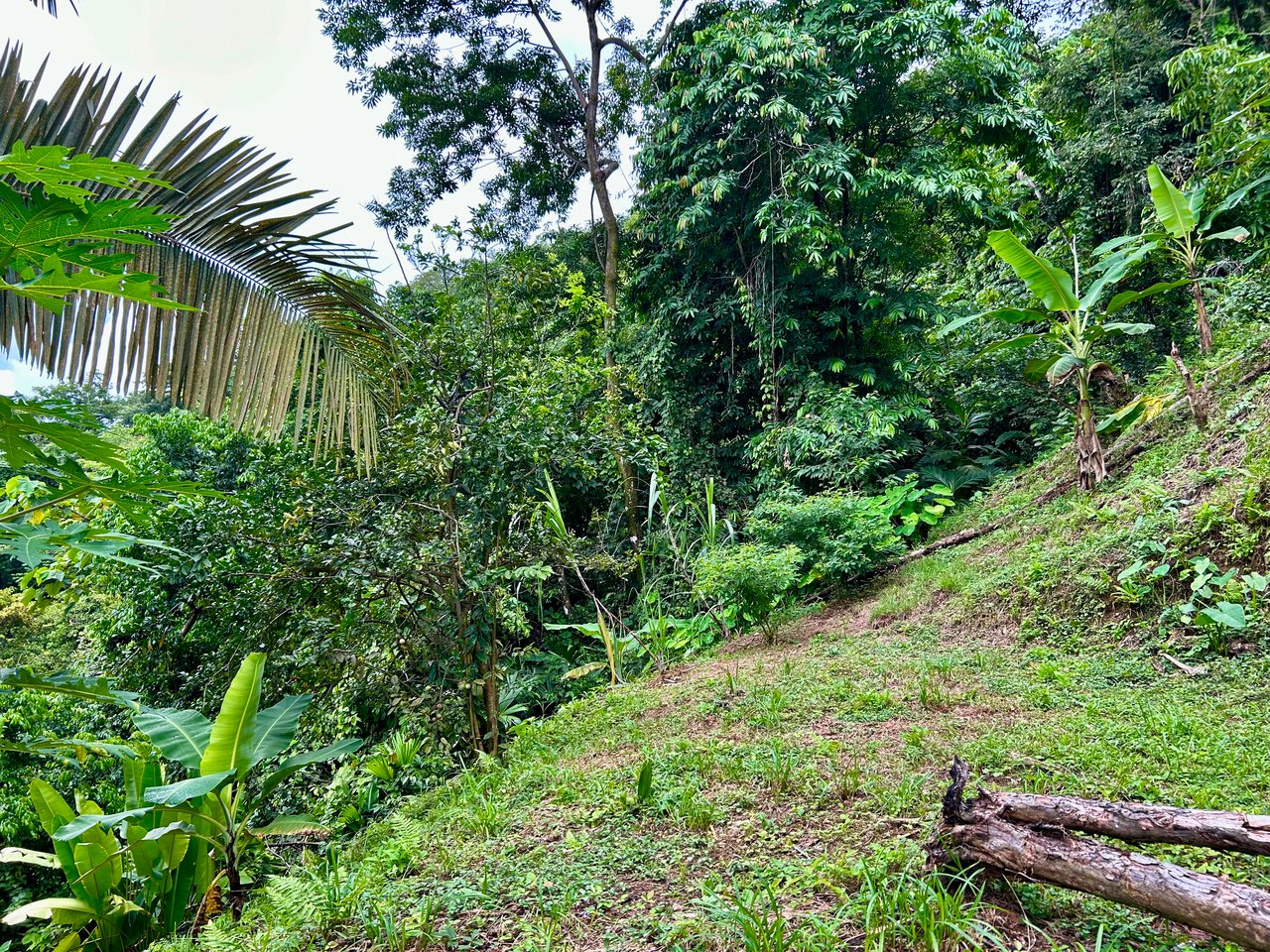 Ocean View Property in Playa Hermosa - Over 1 Acre