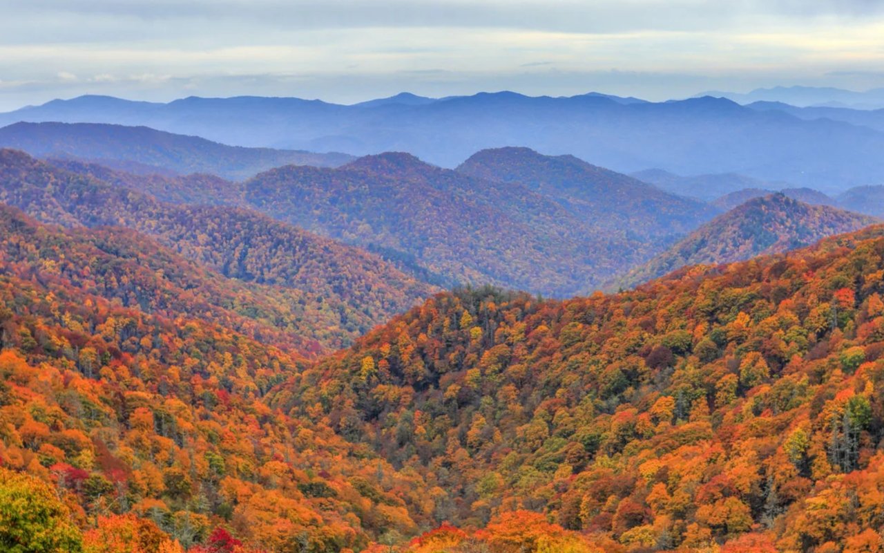On the Move: North Carolina Tops Relocation Lists