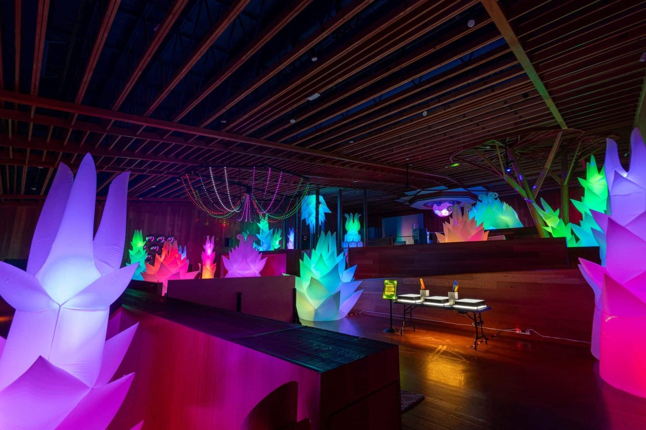 Experience the Magic of IlluminOdyssey at CuriOdyssey