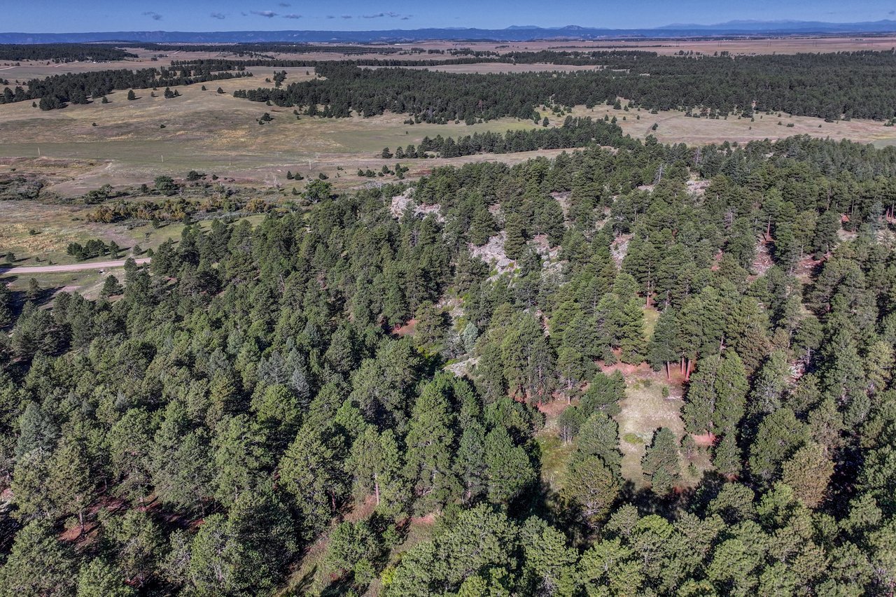 19100 County Road 17
