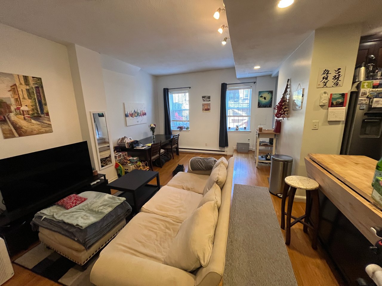 AUGUST - Private Entry 1 bed 1 bath on Back Bay / South End Border - Pets Negotiable! 