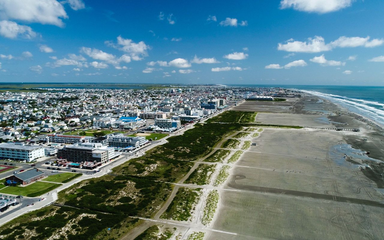 Wildwood