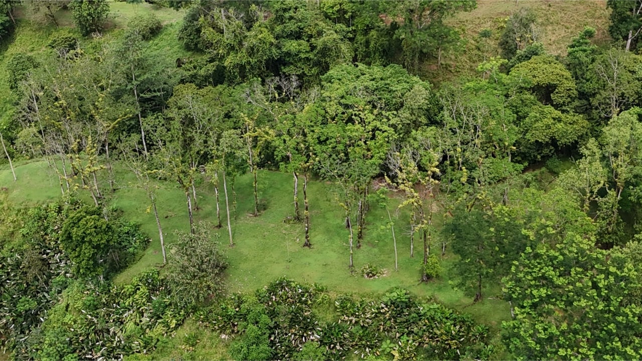 Rainforest Waterfall Acreage Estate, Dominical, Puntarenas