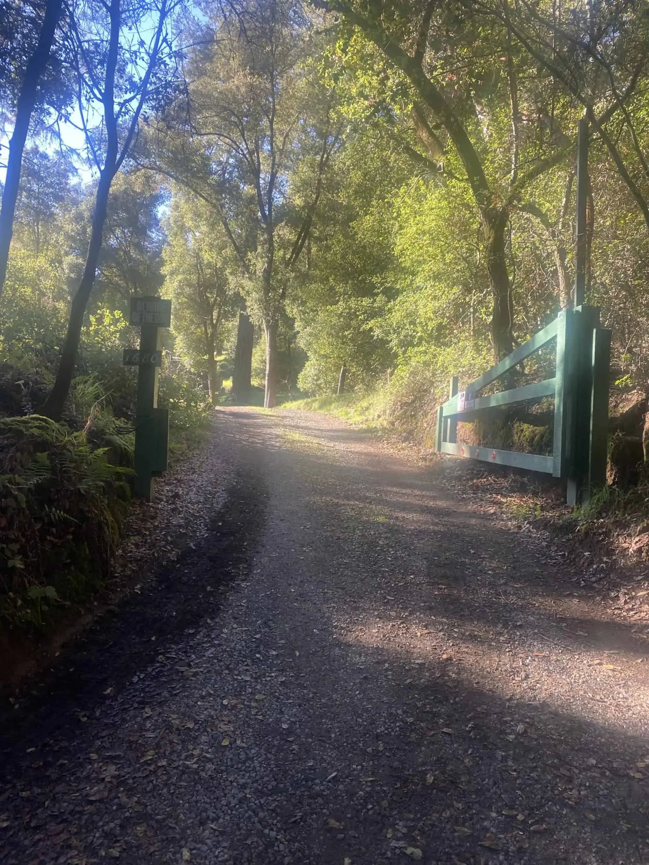Hidden Gem in Nisene Marks State Park