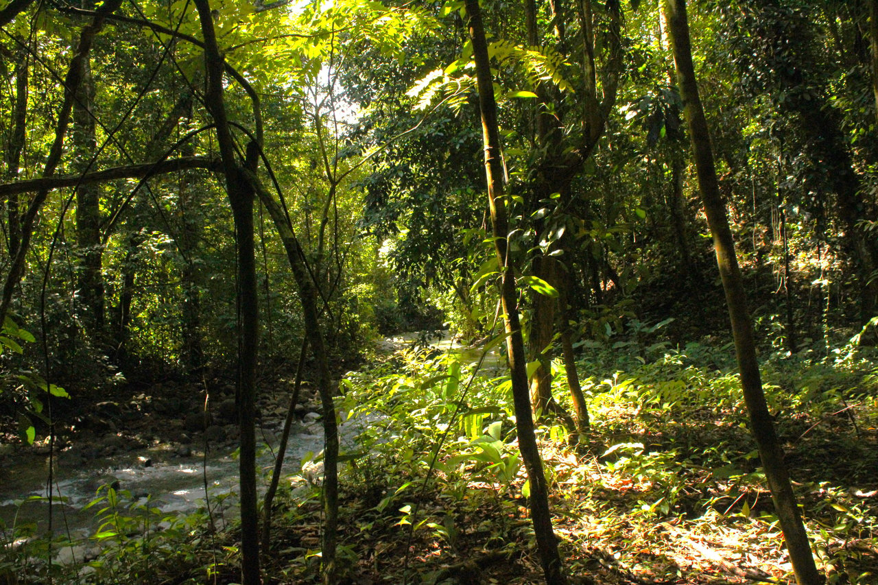 River Frontage Lot close to Uvita