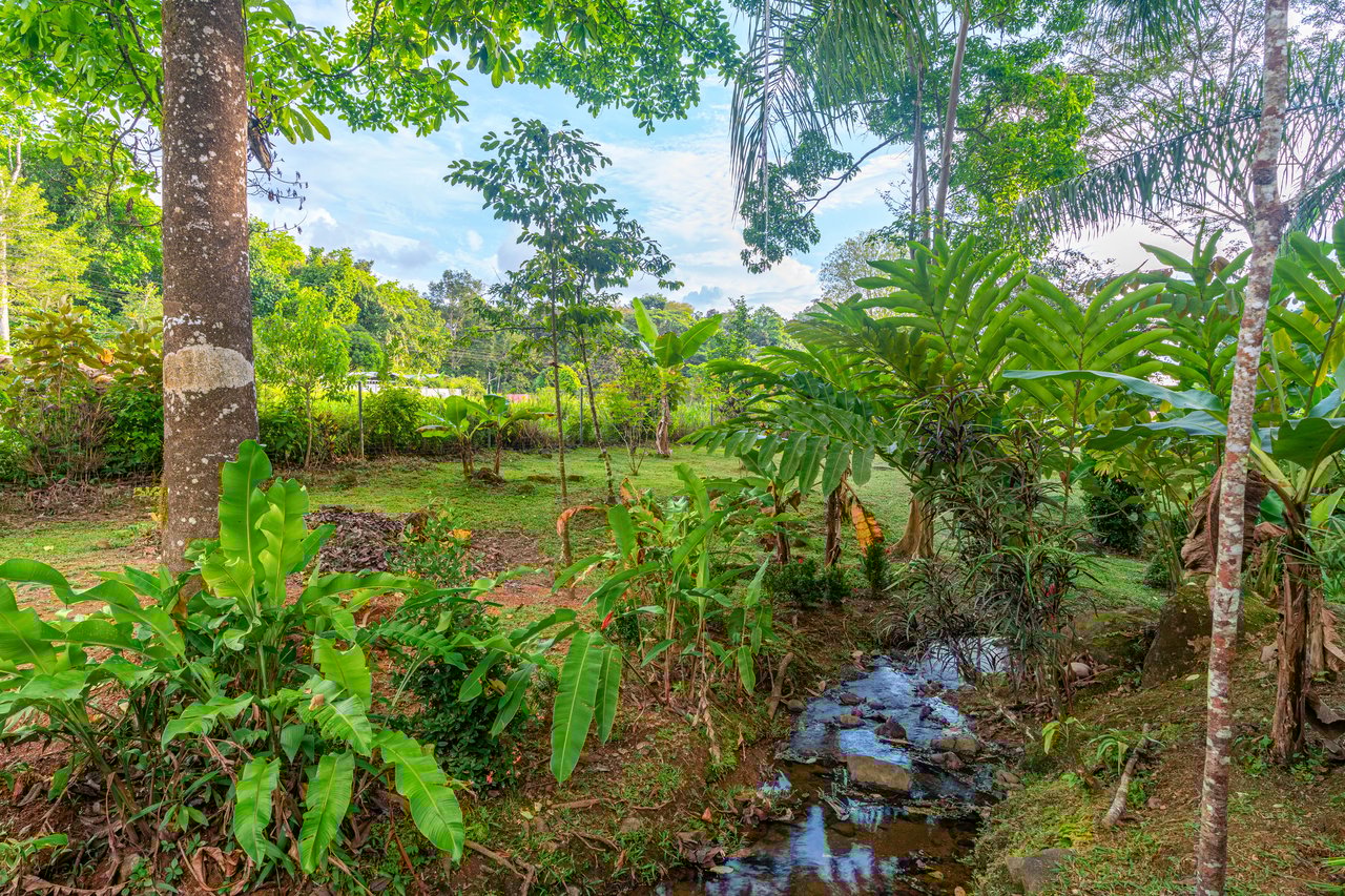 Creekside Harmony Villa | 4 Bedrooms • 3.5 Bathrooms • Private Pool • Surrounded by Nature