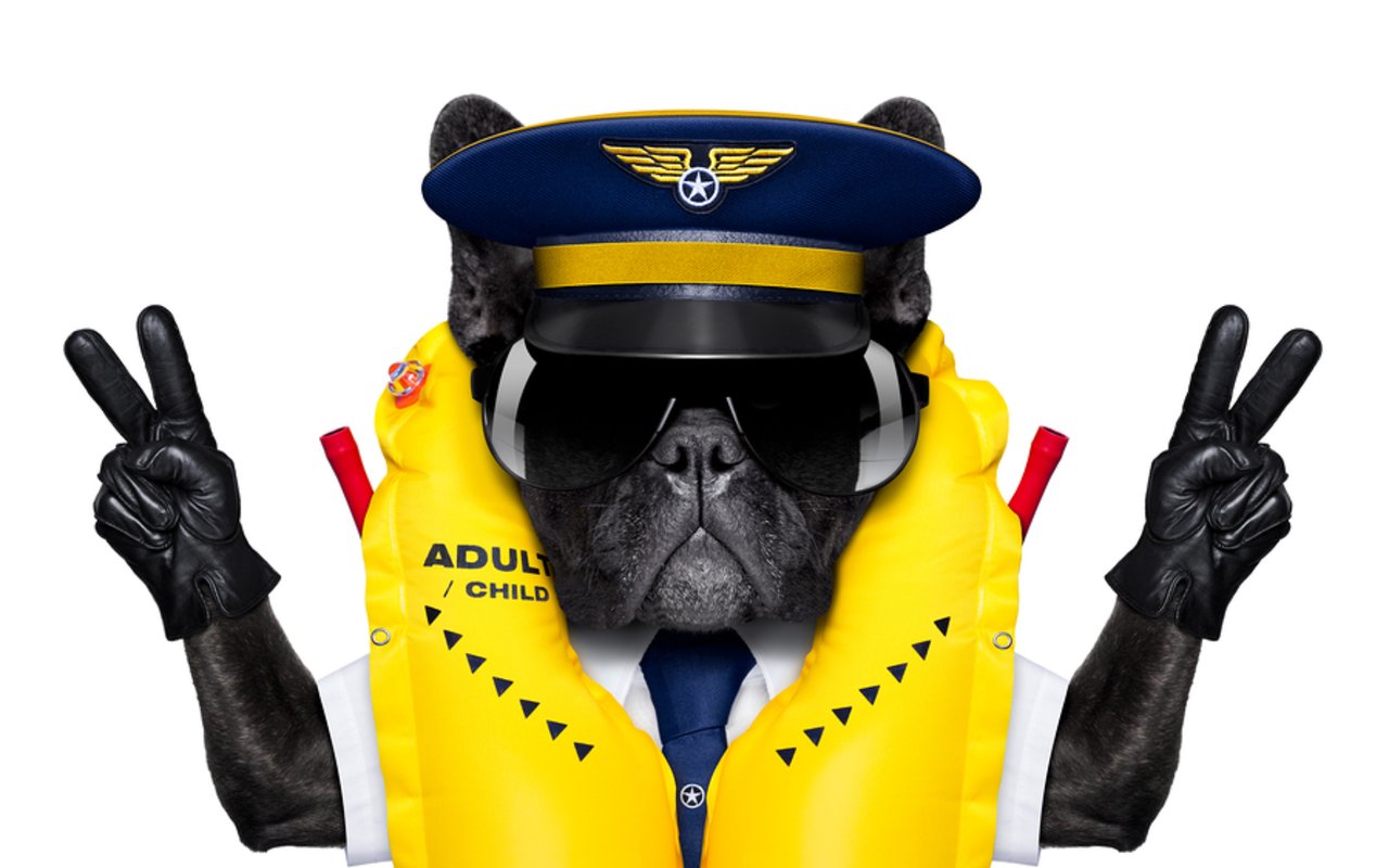 Create an Evacuation Plan for Your Pets