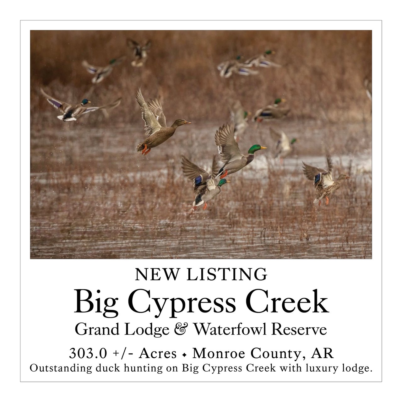Big Cypress Creek Grand Lodge & Waterfowl Reserve
