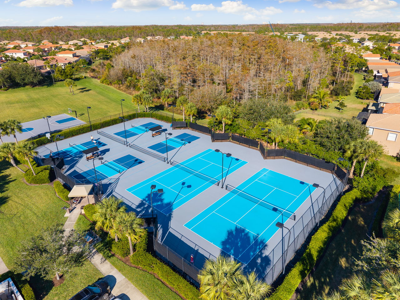 11229 Yellow Poplar DR