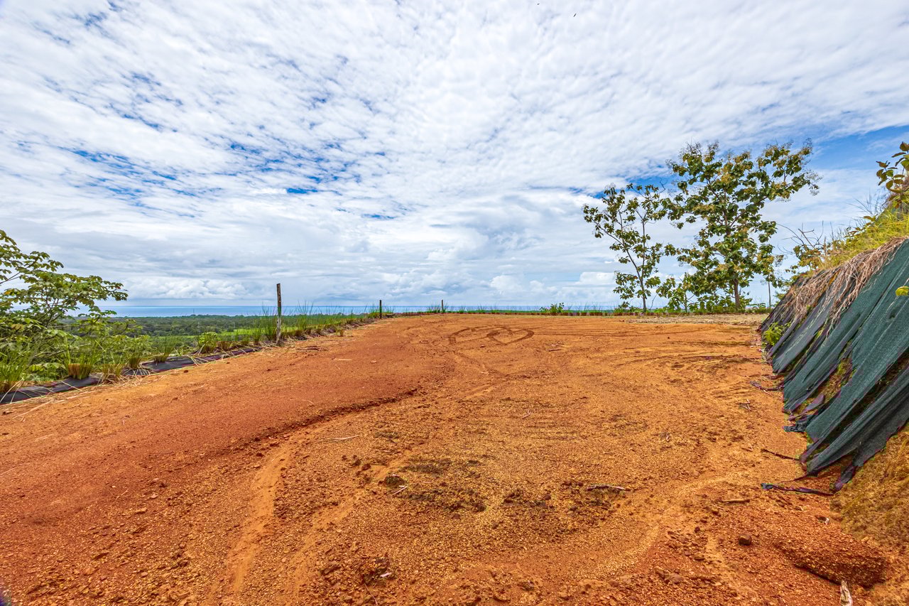 New Gated Development in Matapalo - Ocean View and Flat Land, ready to build!