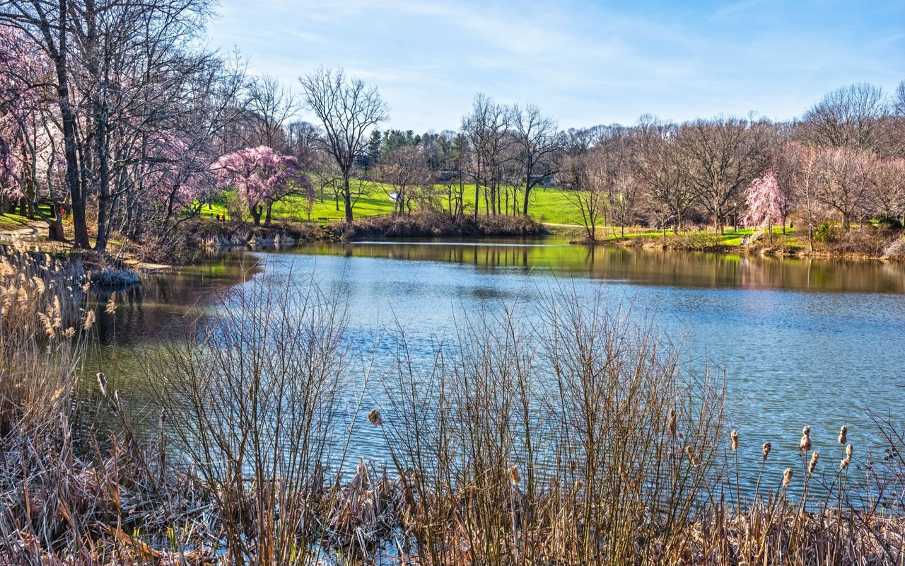 Holmdel
