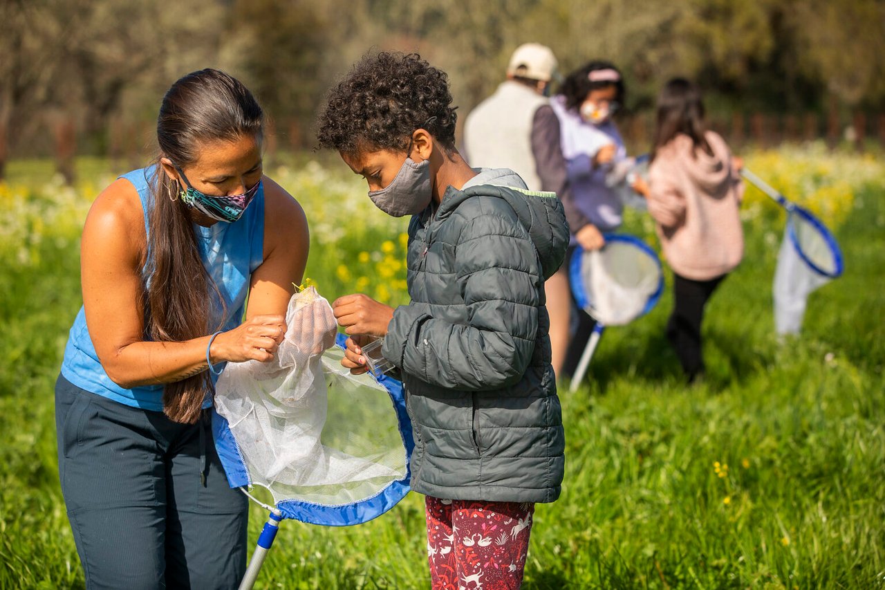 Ideas for Giving Tuesday in Sonoma County
