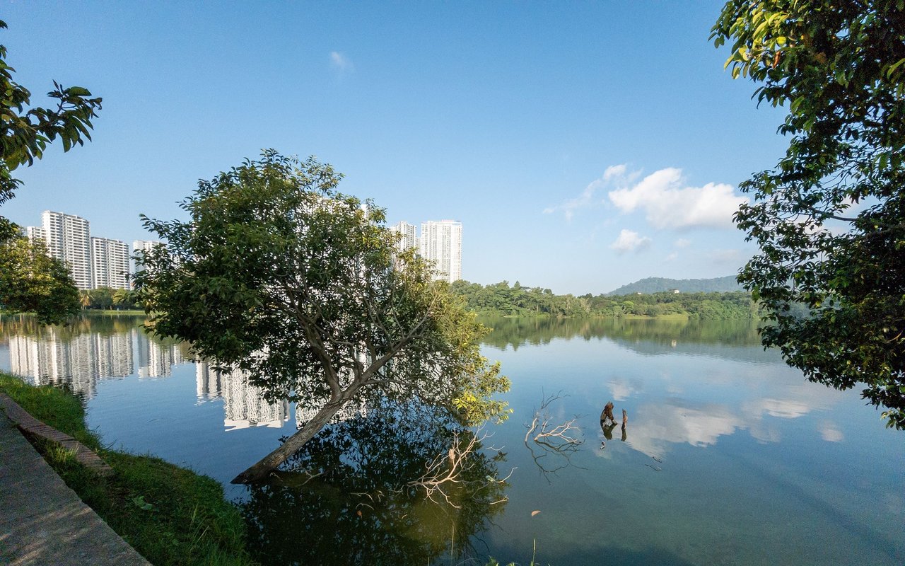 Lake framed by trees, reflecting tall residential towers, with wooded hills in the distance.