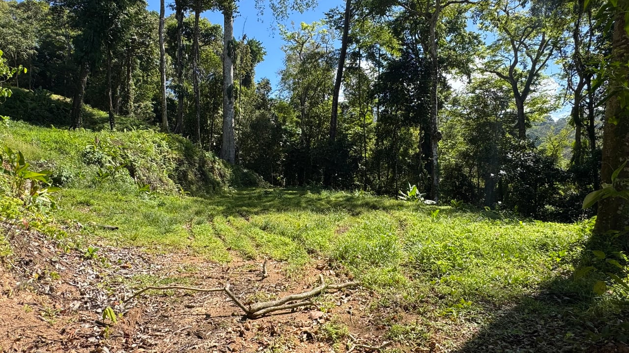 Two Ocean View Lots in Uvita – Easy Access and Large Building Sites