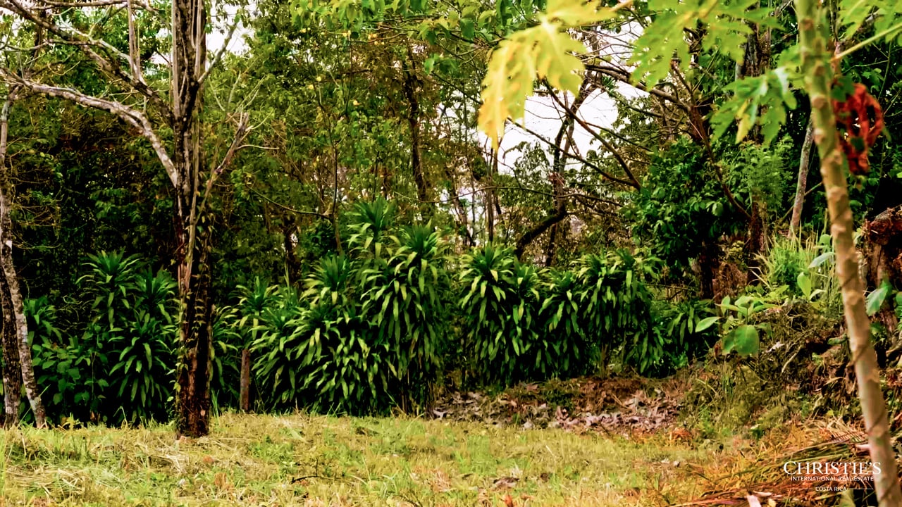 Blossom Hill Parcel in Santa Teresa